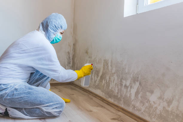 Licensed Commercial Mold Remediation service in Northbrook, IL - WQB Mold Removal