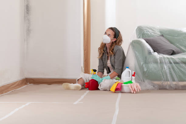 Reliable Commercial Mold Remediation contractor in Northbrook, IL by WQB Mold Removal